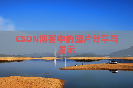 CSDN博客中的图片分享与展示