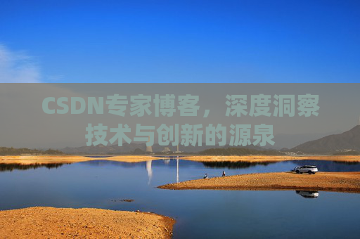 CSDN专家博客，深度洞察技术与创新的源泉